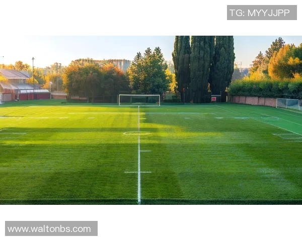 多位球星齐聚一堂激情四射足球场景壁纸展现无与伦比的运动魅力 多位球星齐聚一堂激情四射足球场景壁纸展现无与伦比的运动魅力