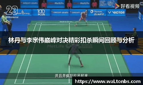 yy体育