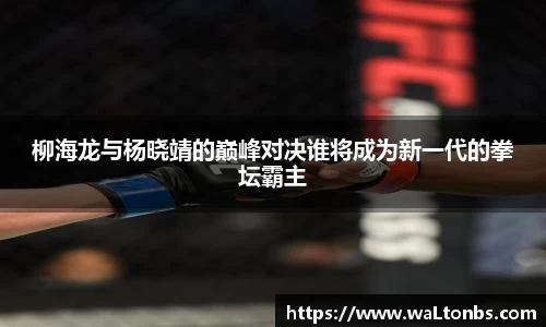 柳海龙与杨晓靖的巅峰对决谁将成为新一代的拳坛霸主
